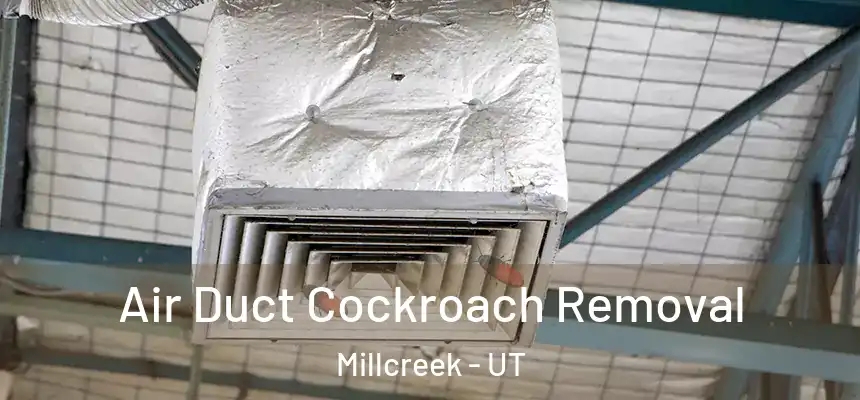  Air Duct Cockroach Removal Millcreek - UT