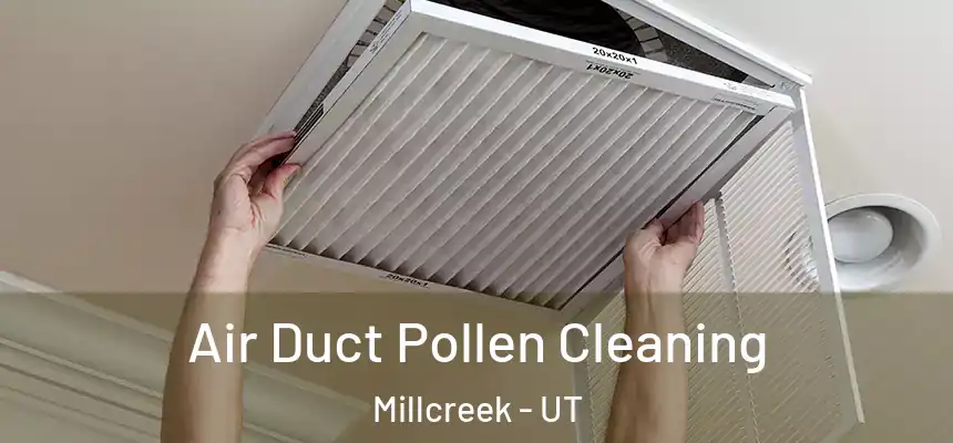  Air Duct Pollen Cleaning Millcreek - UT