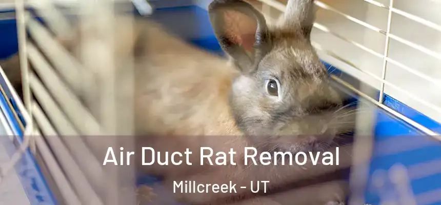  Air Duct Rat Removal Millcreek - UT
