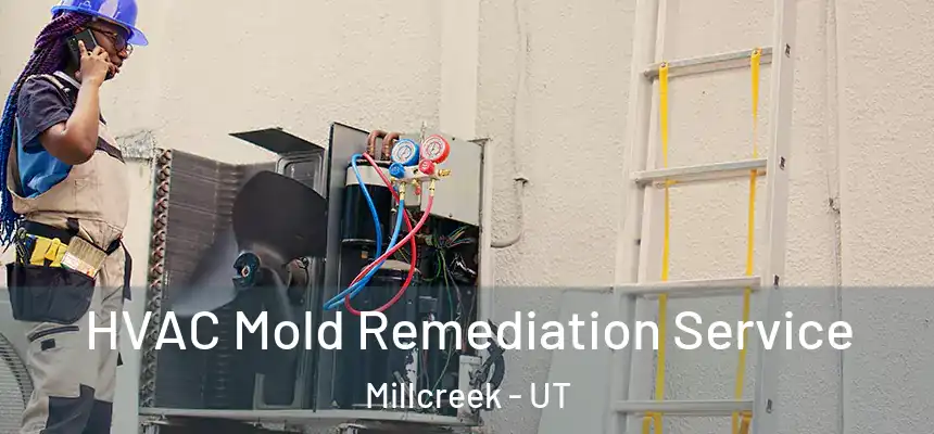  HVAC Mold Remediation Service Millcreek - UT