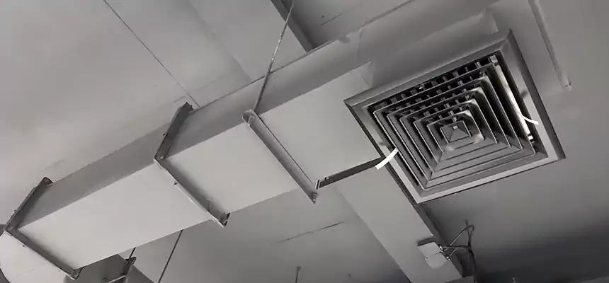 Our Pest Removal From Ducts Services in Millcreek, UT