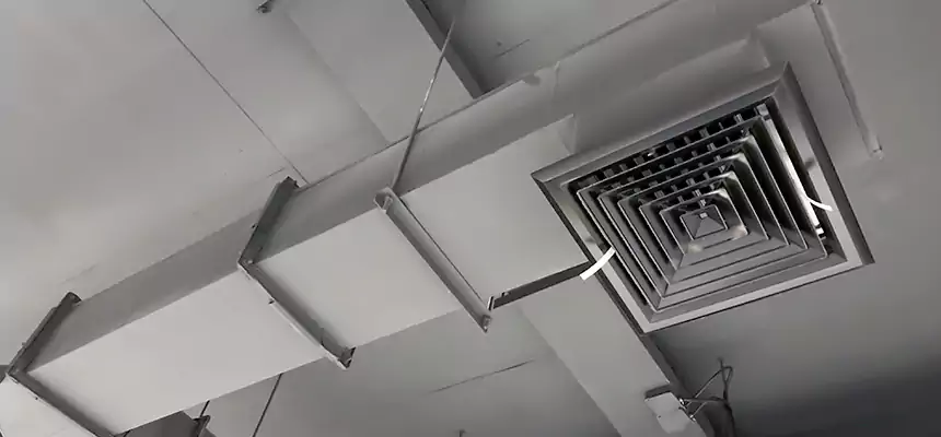 Our Rodent Droppings In Vents Services in Millcreek, UT