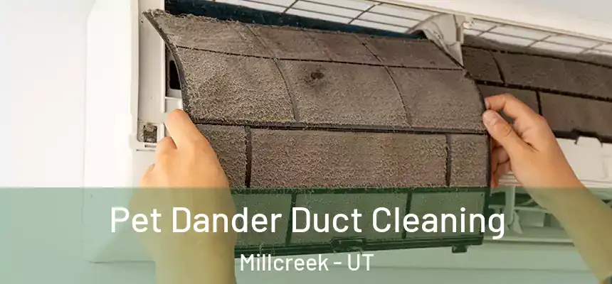  Pet Dander Duct Cleaning Millcreek - UT