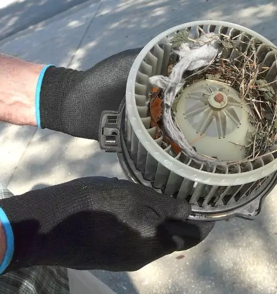 About Air Duct Mice Removal in Millcreek, UT