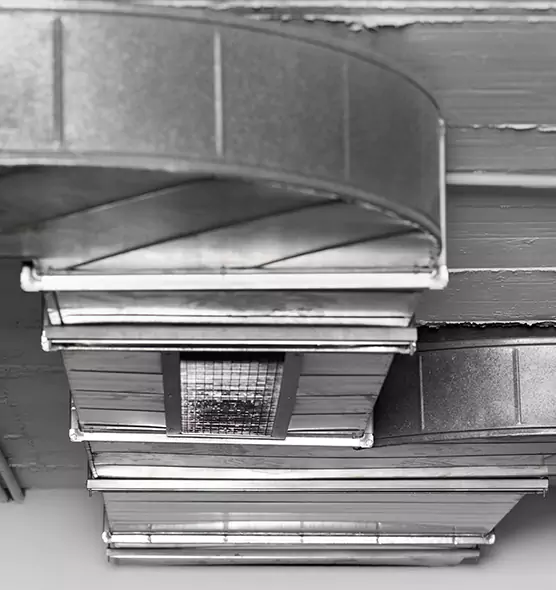 Professional Air Duct Pet Hair Removal in Millcreek, UT