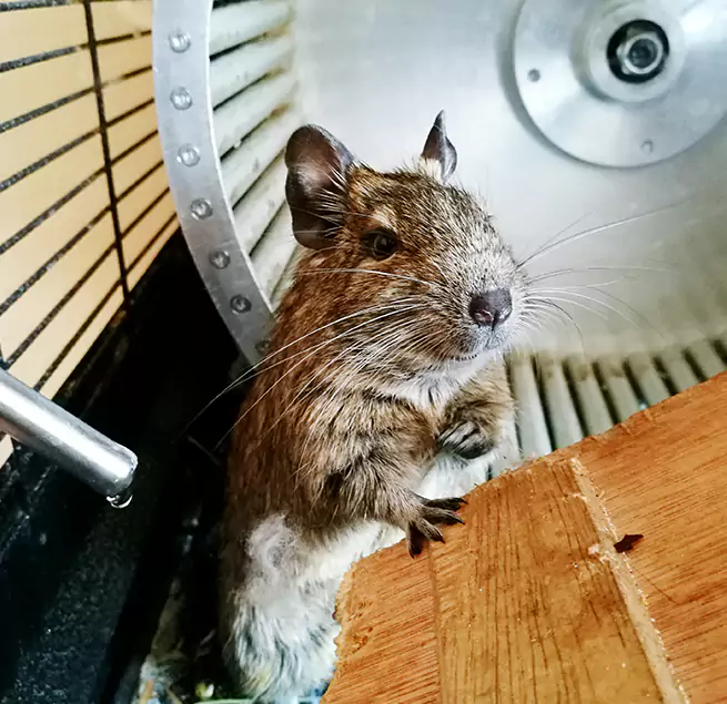 Why Homeowners & Businesses Trust Us Millcreek, UT