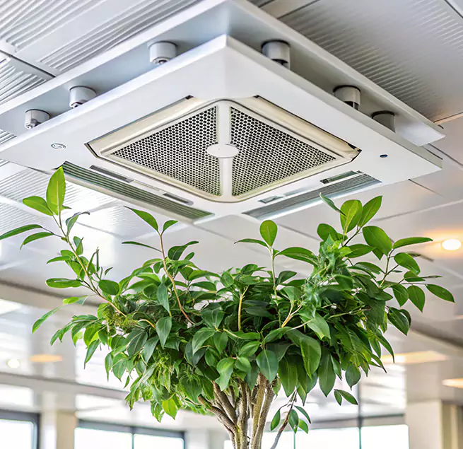 Why Homeowners & Businesses Trust Us in Millcreek, UT?