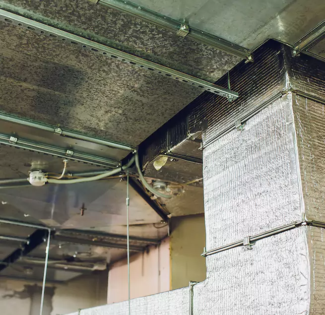 Why Homeowners & Businesses Trust Us in Millcreek, UT?