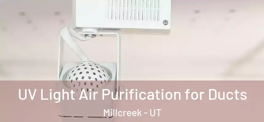  UV Light Air Purification for Ducts Millcreek - UT